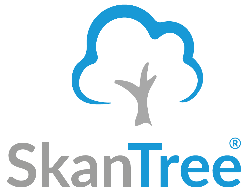 SkanTree – Agencja Marketingowa B2B dla Budownictwa i Przemysłu.